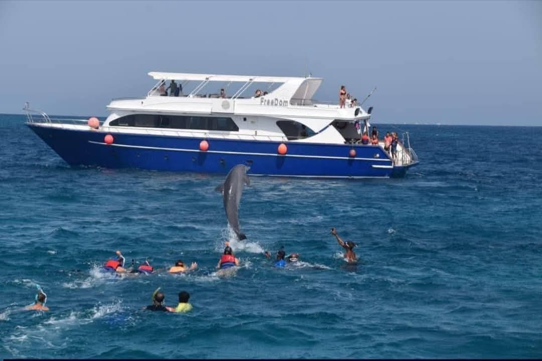 Private Speedboat Dolphin House — photo 6